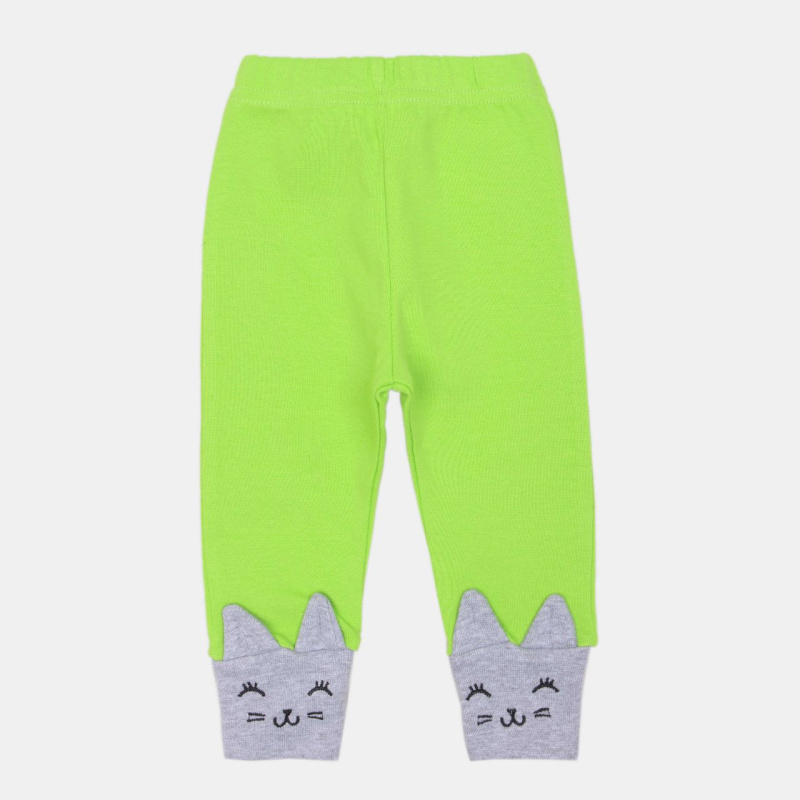 картинка ЧЗ Штанишки для девочек 62-86 100% х/б BONITO KIDS/OP1755D/уп.5шт./меш.460шт. от BonitoKids