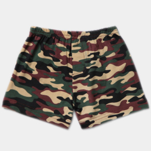 картинка БГ Трусы для мальчика 3-7 лет BONITO KIDS/SS6082(01-24)/уп.5шт./меш.1200шт. от BonitoKids