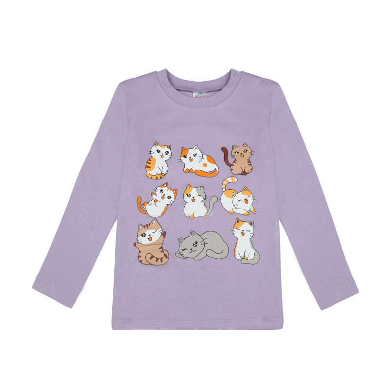картинка БГ_ЧЗ Лонгслив для девочки 2-5 лет 100% хлопок BONITO KIDS/BK0008D(08-24)/уп.4шт./меш.500шт. от BonitoKids