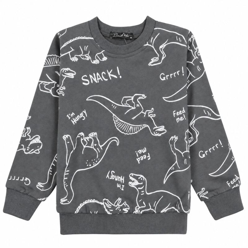 картинка БГ_ЧЗ Толстовка для мальчика 3-7 лет BONITO KIDS/BK1518T(2026)(ЧЗ)/уп.5шт./меш.280шт. от BonitoKids