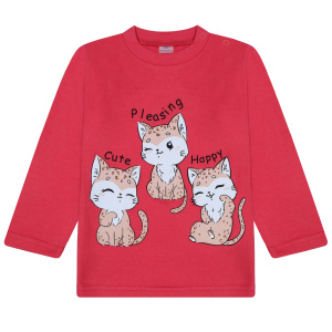 картинка БГ_ЧЗ Кофта для девочки 1,5-4 лет 100% хлопок BONITO KIDS/BK0006D(10-23)(ЧЗ)/уп.4шт./меш.500шт. от BonitoKids