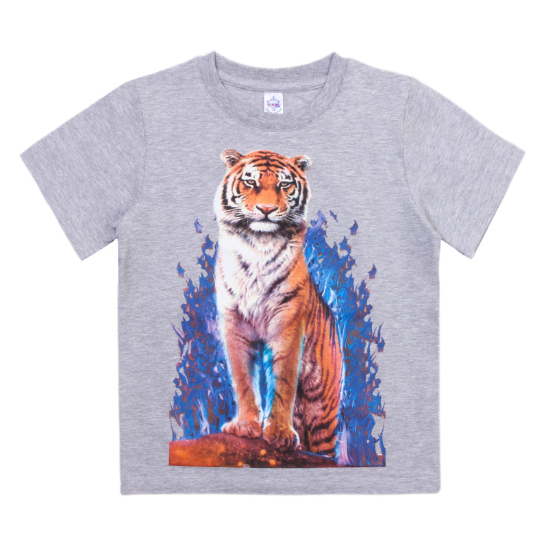 картинка КГ_БГ Футболка для мальчика 8-12 лет 92% хлопок, 8% лайкра BONITO KIDS/BK6005F/уп.5шт./меш.450шт. от BonitoKids