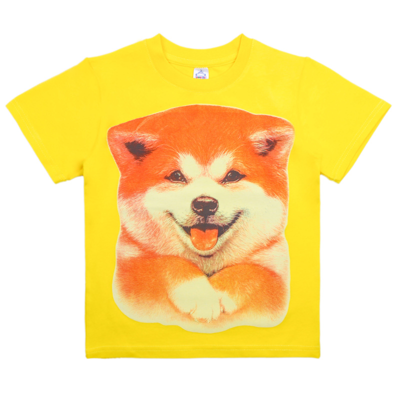 картинка КГ_ОТ Футболка для девочки 4-8 лет 92% хлопок, 8% лайкра BONITO KIDS/BK6003F/уп.5шт./меш.600шт. от BonitoKids