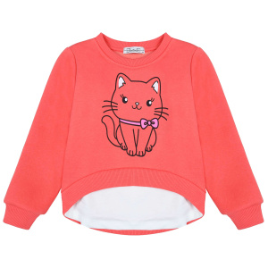 картинка БГ_ЧЗ Свитшот для девочки 3-7 лет 85% хлопок 15% пэ BONITO KIDS/BK1369K(ЧЗ)/уп.5шт./меш.175шт. от BonitoKids