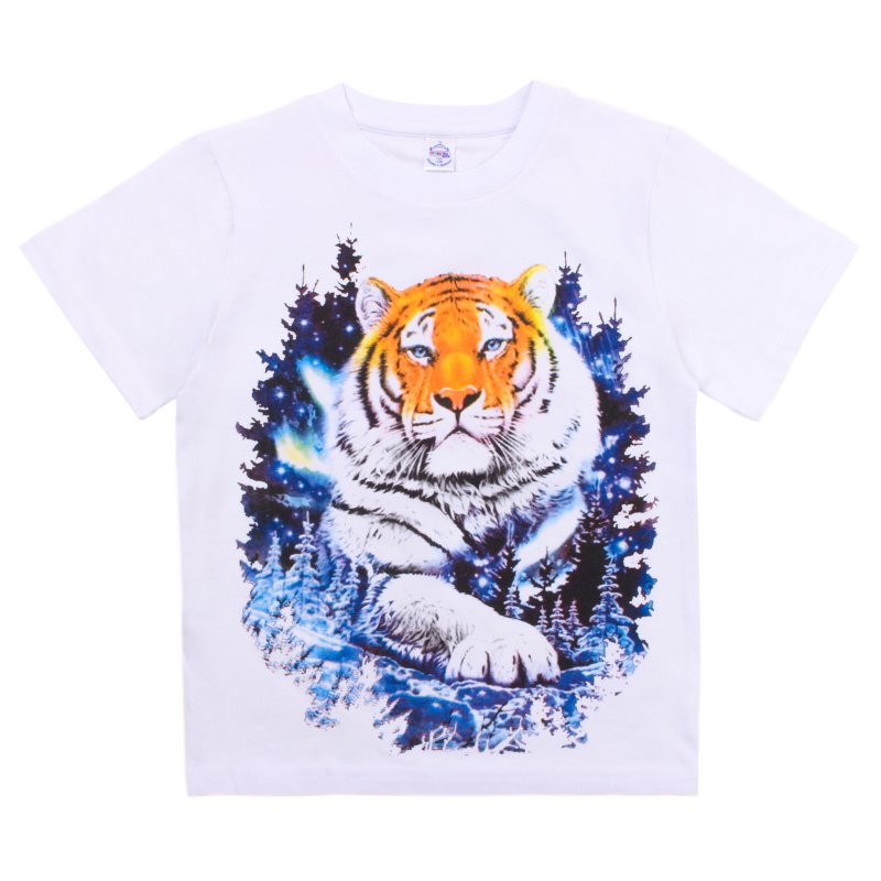 картинка БГ_ЧЗ Футболка для мальчика 8-12 лет 92% хлопок, 8% лайкра BONITO KIDS/BK6005F(ЧЗ)/уп.5шт./меш.450шт. от BonitoKids
