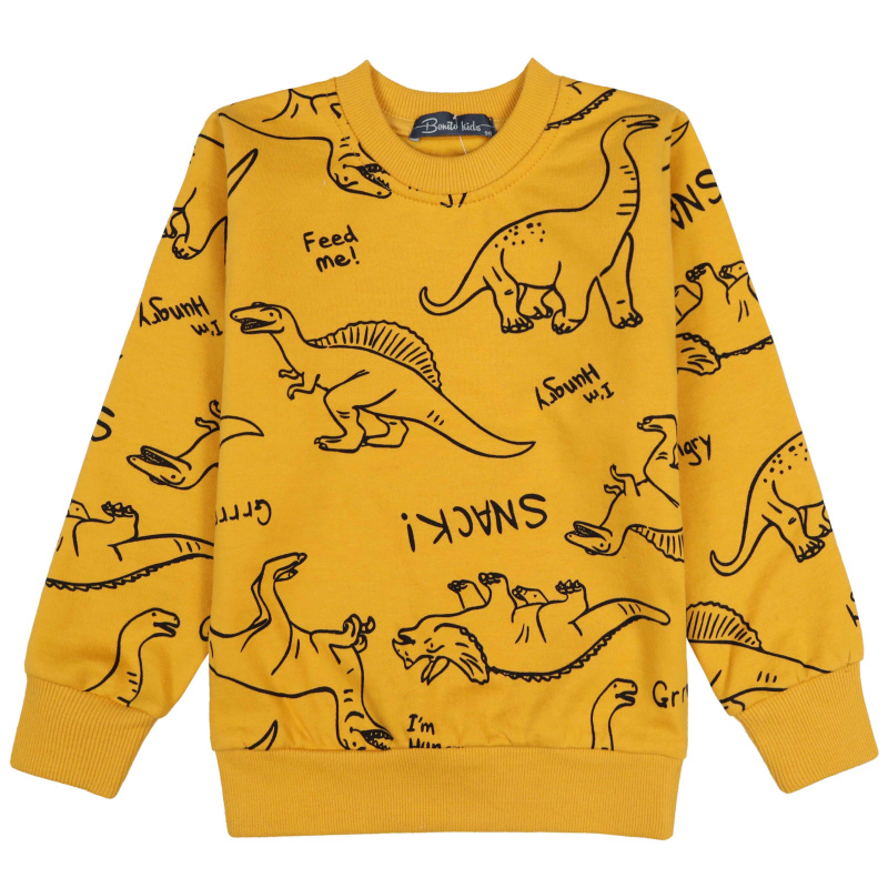 картинка БГ_ЧЗ Толстовка для мальчика 3-7 лет BONITO KIDS/BK1518T(2026)(ЧЗ)/уп.5шт./меш.280шт. от BonitoKids