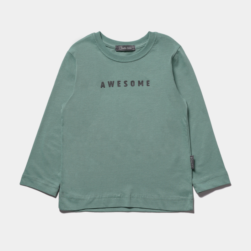 картинка БГ_ЧЗ Лонгслив для мальчика 3-7 лет 100% хлопок BONITO KIDS/SS6154(10-24)(ЧЗ)/уп.5шт./меш.530шт. от BonitoKids