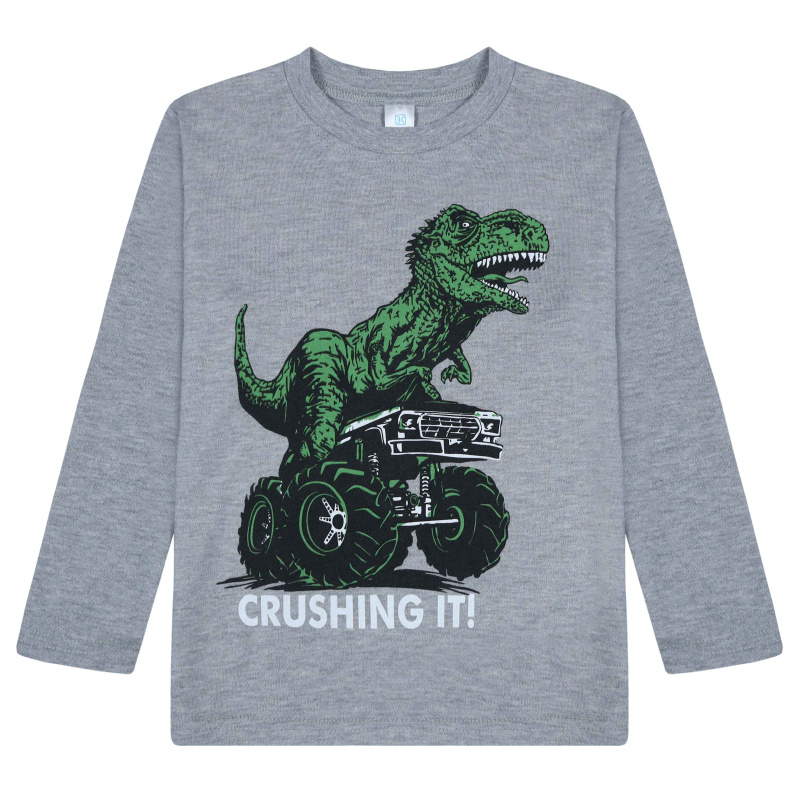 картинка БГ Лонгслив для мальчика 4-8 лет 100% хлопок BONITO KIDS/BK0009M(4-8)(09-24)/уп.5шт./меш.400шт. от BonitoKids