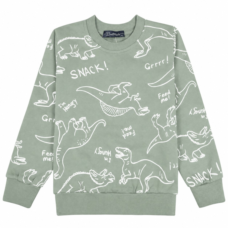 картинка БГ_ЧЗ Толстовка для мальчика 3-7 лет BONITO KIDS/BK1518T(2026)(ЧЗ)/уп.5шт./меш.280шт. от BonitoKids