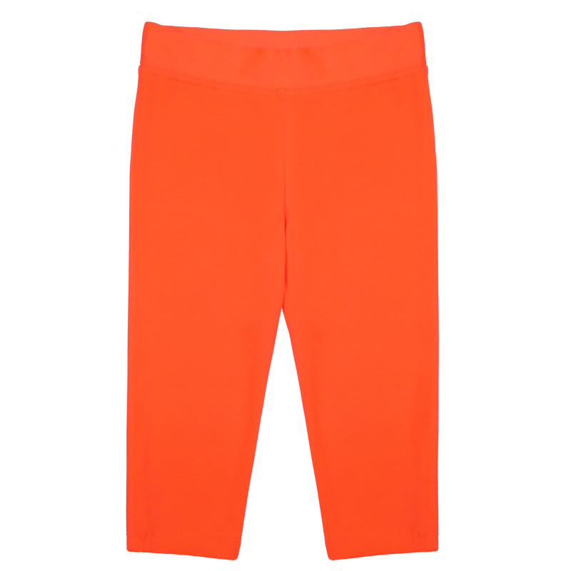 картинка БГ_ЧЗ Бриджи для девочки 8-16 лет 60% хлопок, 40% полиэстер BONITO KIDS/BK1737B(01-24)(ЧЗ)/уп.5шт./меш.480шт. от BonitoKids