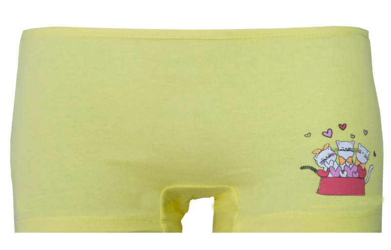 картинка ЧЗ Трусы для девочки 3-7 лет 92% хлопок, 8% лайкра BONITO KIDS/BK1635T/уп.5шт./меш.1250шт. от BonitoKids