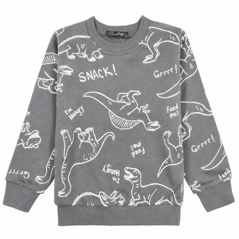 картинка БГ_ЧЗ Толстовка для мальчика 3-7 лет BONITO KIDS/BK1518T(2026)(ЧЗ)/уп.5шт./меш.280шт. от BonitoKids