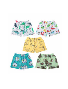 картинка БГ Трусы для мальчика 2-6 лет 100% хлопок BONITO KIDS/SS6106(09-24)/уп.10шт./меш.1800шт. от BonitoKids