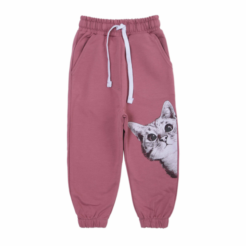 картинка БГ_ЧЗ Штаны для девочки, 2-6 лет, 92% хлопок  8% лайкра, BONITO KIDS/SS6018(ЧЗ)/уп.5шт./меш.300шт. от BonitoKids