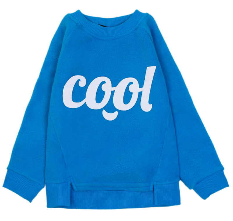 картинка КГ_ОТ Свитшот для мальчика 3-6 лет 100% полиэстер BONITO KIDS/OP1343/уп.4шт./меш.168шт. от BonitoKids