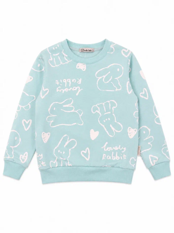 картинка БГ_ЧЗ Толстовка для девочки 3-7 лет 100% хлопок BONITO KIDS/BK1718T(2026)(ЧЗ)/уп.5шт./меш.280шт. от BonitoKids