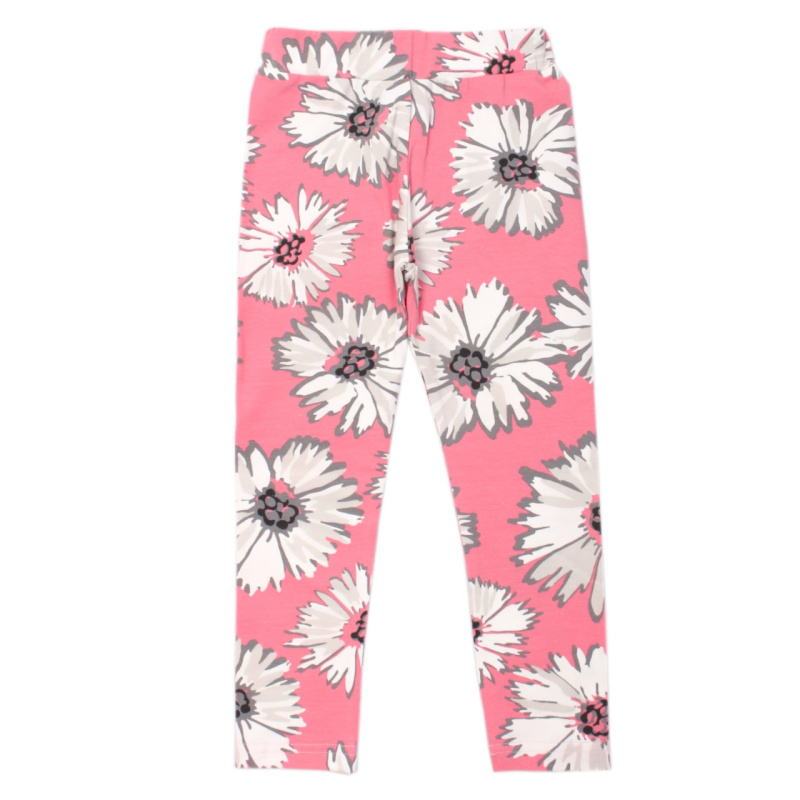 картинка ЧЗ Лосины для девочки 3-7 лет 95% хлопок, 5% эластан BONITO KIDS/OP1404(ЧЗ)/уп.5шт./меш.600шт. от BonitoKids