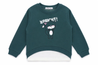 КГ Свитшот для девочки 3-7 лет 85% хлопок 15% пэ BONITO KIDS/BK1369S/уп.5шт./меш.160шт.
