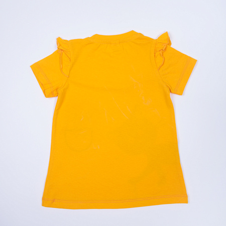 SS-6051_21