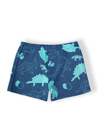 БГ_ЧЗ Трусы для мальчика 7-11 лет 100% хлопок BONITO KIDS/SS6113(10-24)(ЧЗ)/уп.5шт./меш.1200шт. от магазина