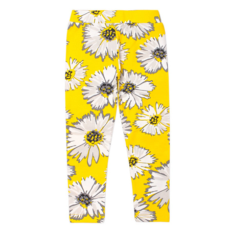 картинка ЧЗ Лосины для девочки 3-7 лет 95% хлопок, 5% эластан BONITO KIDS/OP1404(ЧЗ)/уп.5шт./меш.600шт. от магазина