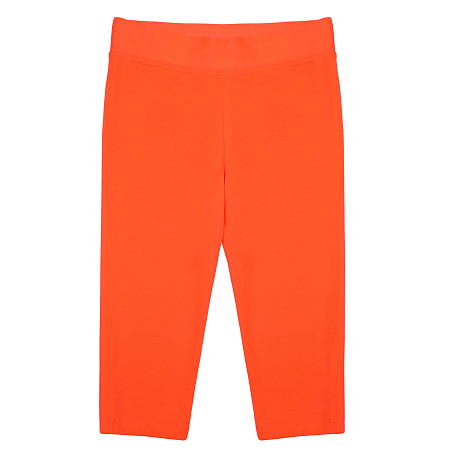 картинка БГ_ЧЗ Бриджи для девочки 8-16 лет 60% хлопок, 40% полиэстер BONITO KIDS/BK1737B(01-24)(ЧЗ)/уп.5шт./меш.480шт. от магазина