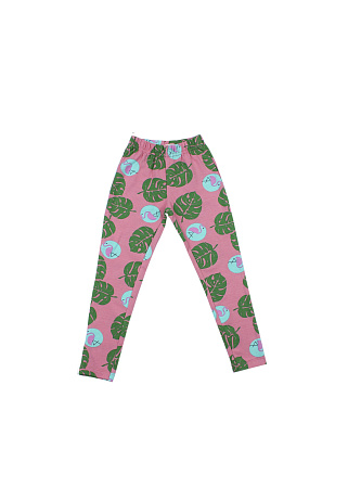 картинка ЧЗ Лосины для девочки 7-11 лет 92% хлопок, 8% лайкра BONITO KIDS/BK1166L(ЧЗ)/уп.5шт./меш.460шт. от магазина