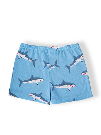 БГ_ЧЗ Трусы для мальчика 7-11 лет 100% хлопок BONITO KIDS/SS6113(10-24)(ЧЗ)/уп.5шт./меш.1200шт. от магазина