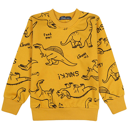 БГ_ЧЗ Толстовка для мальчика 3-7 лет BONITO KIDS/BK1518T(2026)(ЧЗ)/уп.5шт./меш.280шт. от магазина
