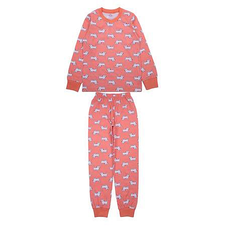 картинка БГ_ЧЗ Пижама для девочки 8-12 лет 100% хлопок BONITO KIDS/SS6068(ЧЗ)/уп.5шт./меш.200шт. от магазина