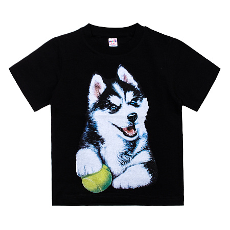 КГ_БГ Футболка для мальчика 4-8 лет 92% хлопок, 8% лайкра BONITO KIDS/BK6004F/уп.5шт./меш.600шт. от магазина